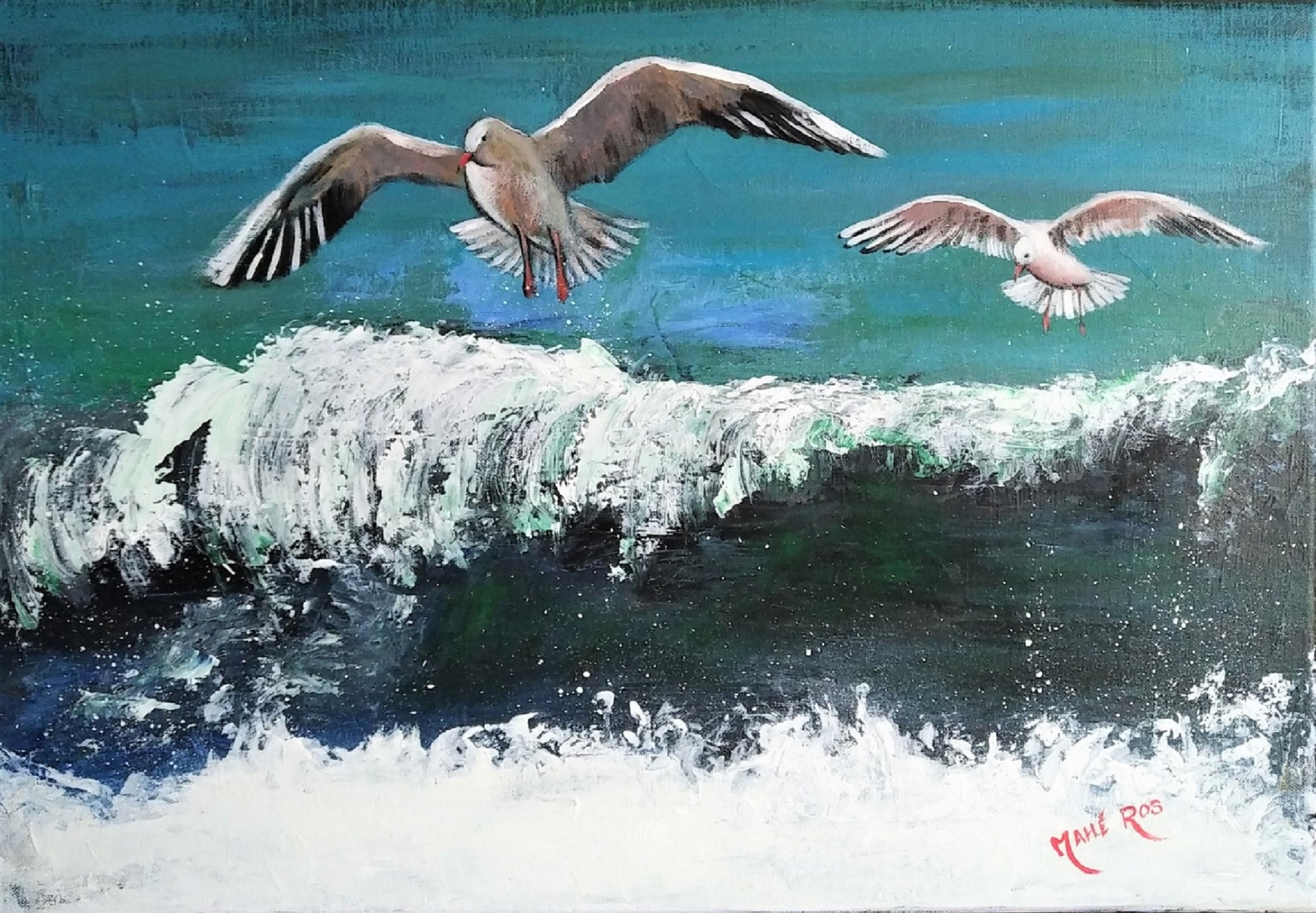 Mouettes et vagues mahe ros