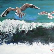 Mouettes et vagues mahe ros